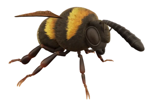 Bee from Grounded 2