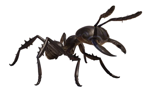 Black Soldier Ant from Grounded 2