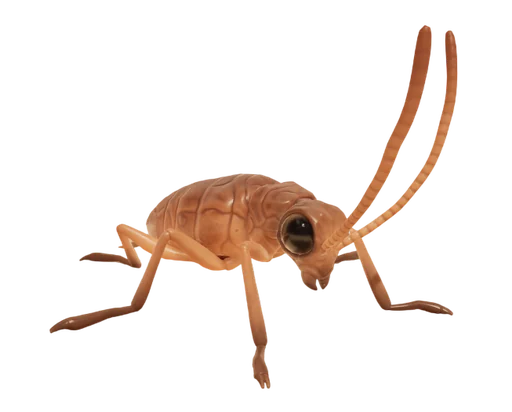 Cockroach Nymph from Grounded 2