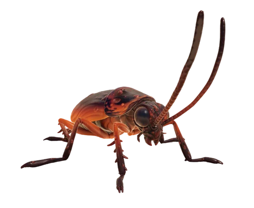 Cockroach game model from Grounded 2