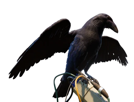 Crow from Grounded 2
