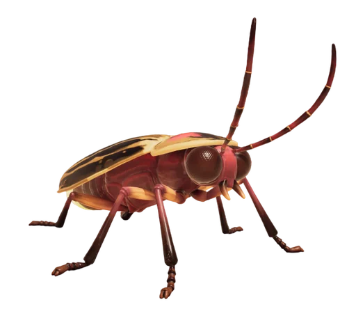 Firefly from Grounded 2