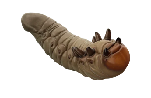 Grub from Grounded 2