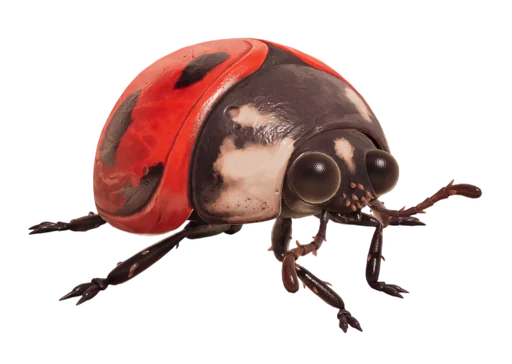 Ladybuggy from Grounded 2