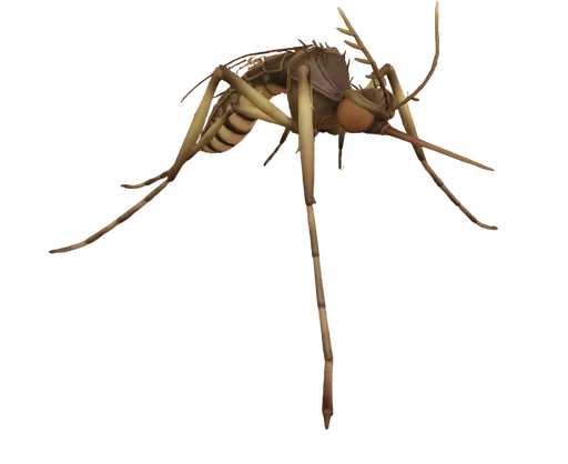 Mosquito from Grounded 2