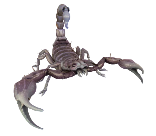 Northern Scorpling from Grounded 2