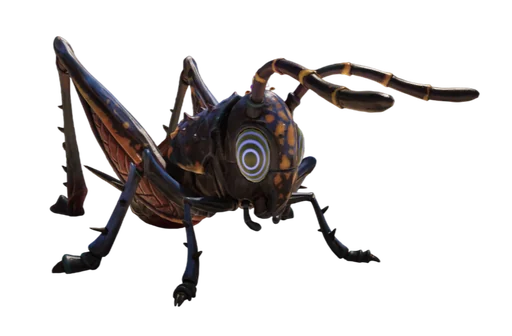 O.R.C. Cricket from Grounded 2