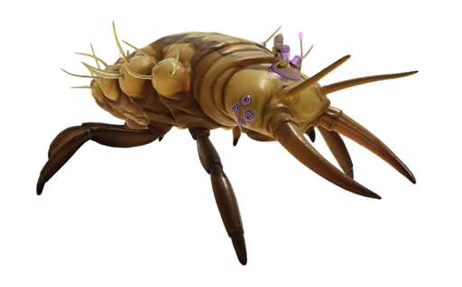 O.R.C. Larva from Grounded 2