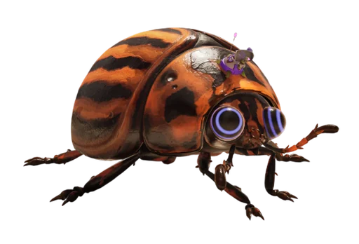 O.R.C. Potato Beetle from Grounded 2