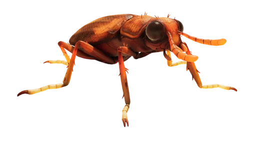 Rust Beetle from Grounded 2