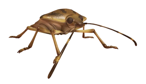 Stinkbug from Grounded 2
