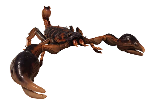 Striped Bark Scorpion from Grounded 2