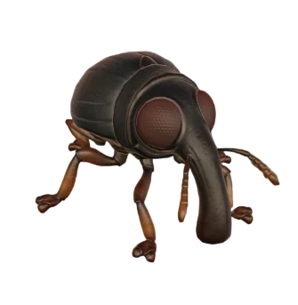 Weevil from Grounded 2
