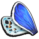 Blue Butterfly Wing from Grounded 2