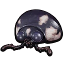 Ladybug Head from Grounded 2
